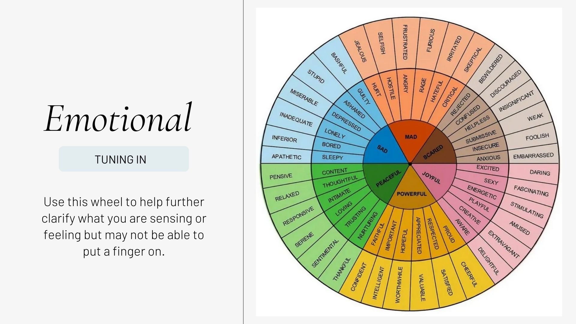 1 Heading + 2 Paragraphs (6).jpg