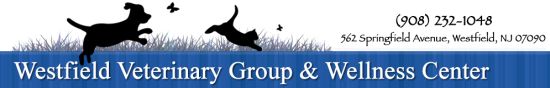 Westfield Veterinary Group and Wellness Center provides complete veterinary care to pets, including dogs, cats, and exotic pets. We offer comprehensive pet wellness care, boarding and grooming for dogs and cats, canine physical rehabilitation, veterinary surgical care and advanced diagnostics. www.westfieldvetgroup.c Westfield Veterinary Group and Wellness Center 62 Springfield Avenue Westfield, NJ 07090 Phone: 908-232-1048