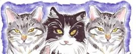 Caricatures are cartoon art portraits usualy hand drawn by a caricature artist. A party caricaturist can draw a quick sketch drawing. These humorous portrait drawings are the original party entertainment. http://www.aaacaricatures.com/ Email: caricaturesbystevenyman@aaacaricatures.com PHONE: 973-586-0790
