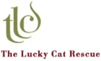 The Lucky Cat Rescue, Inc. P.O. Box 3213 Weehawken, NJ. 07086 theluckycatrescue@gmail.com http://theluckycatrescue.org