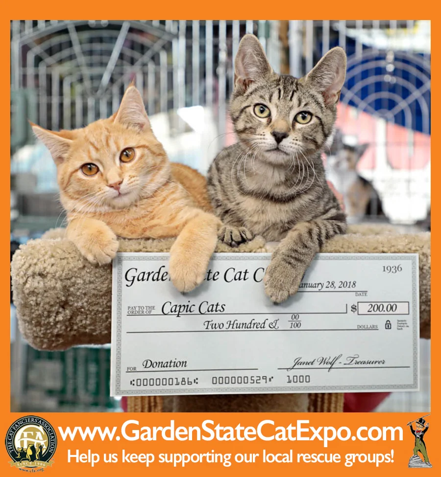 GSCSE2018_NJM_Giving Back.jpg