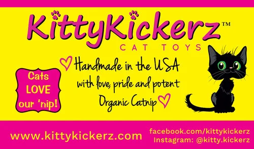 kitty kickerz.jpeg