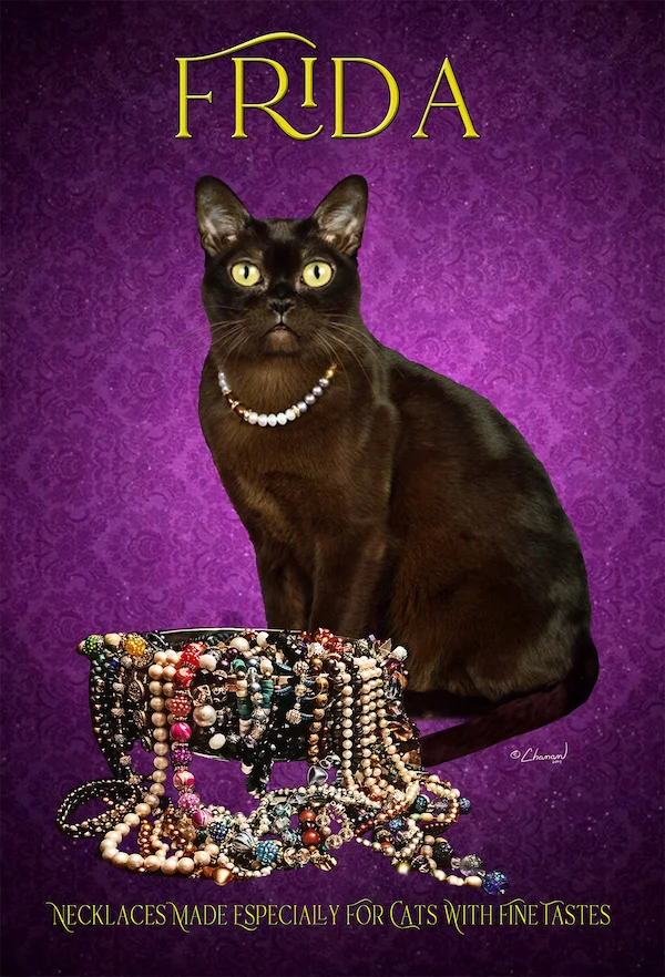 Diana Wilder FRIDA – Necklaces for Cats with Fine Tastes Dianawilder1@gmail.com