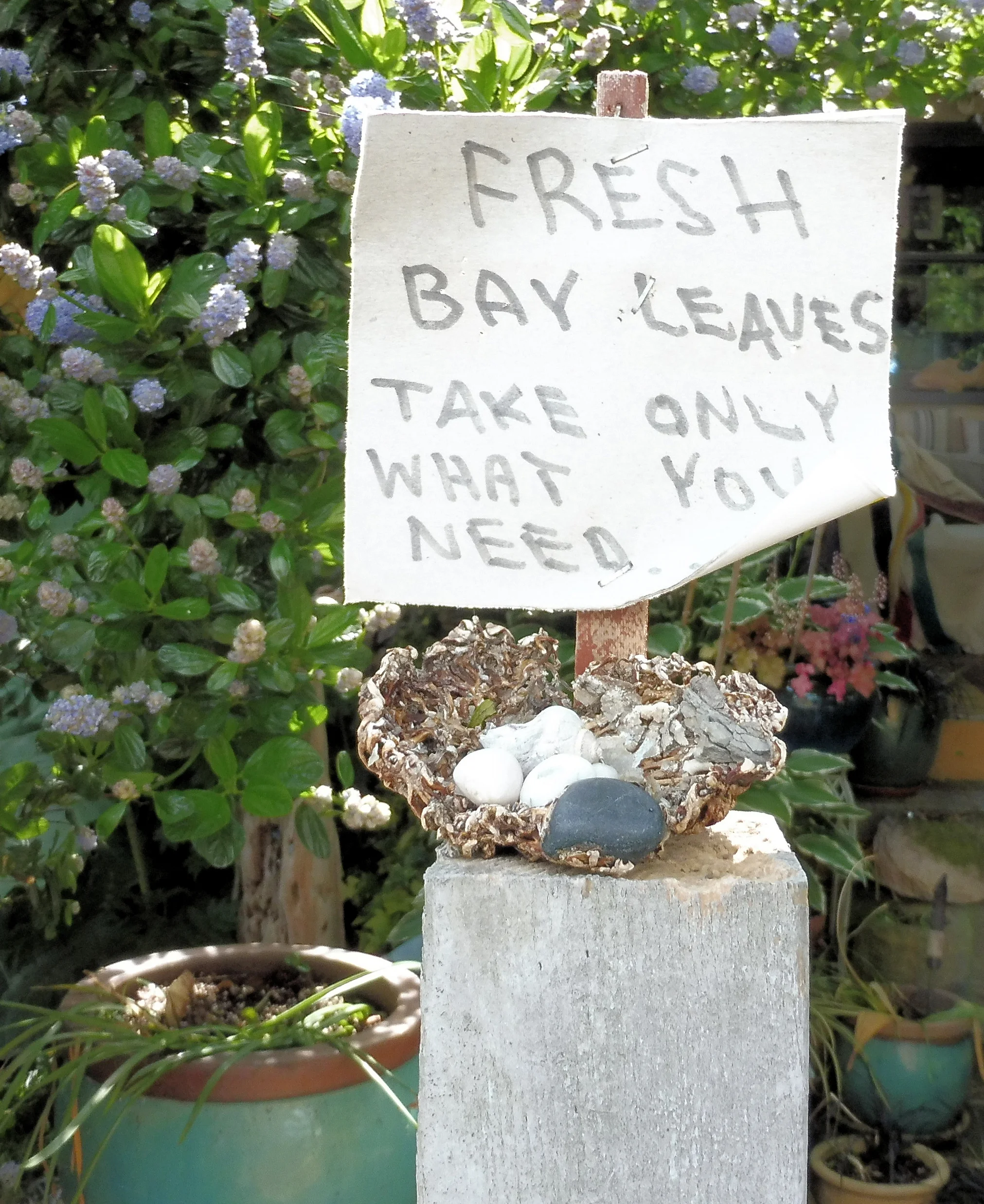 Have extra edibles? Give them to the neighbours, charities, or even sell then at you garden gate. Someone can use them. Photo by Kathryn Pankowski