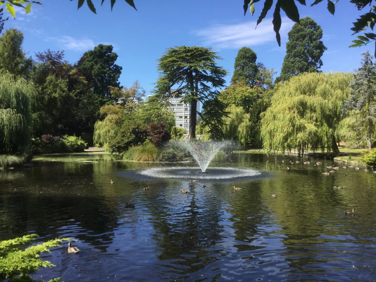 Goodacre Lake fountain in Beacon Hill Park.