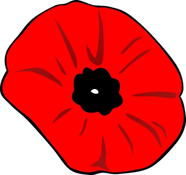 poppy-icon-Pixabay.jpg