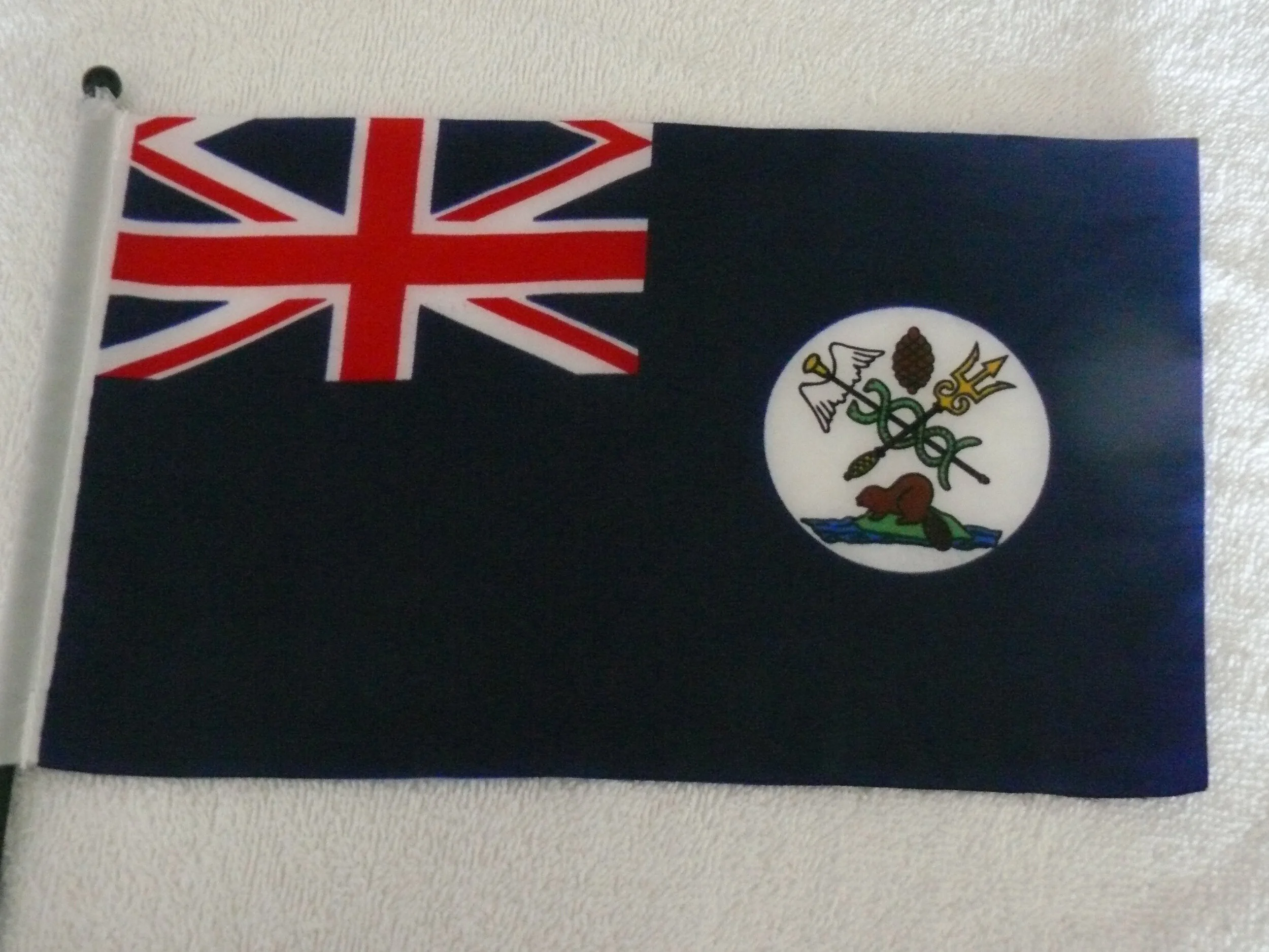 Flag - Rita Button.jpg