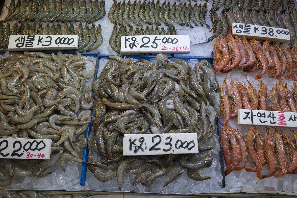 seoul-fish-market-b.jpg