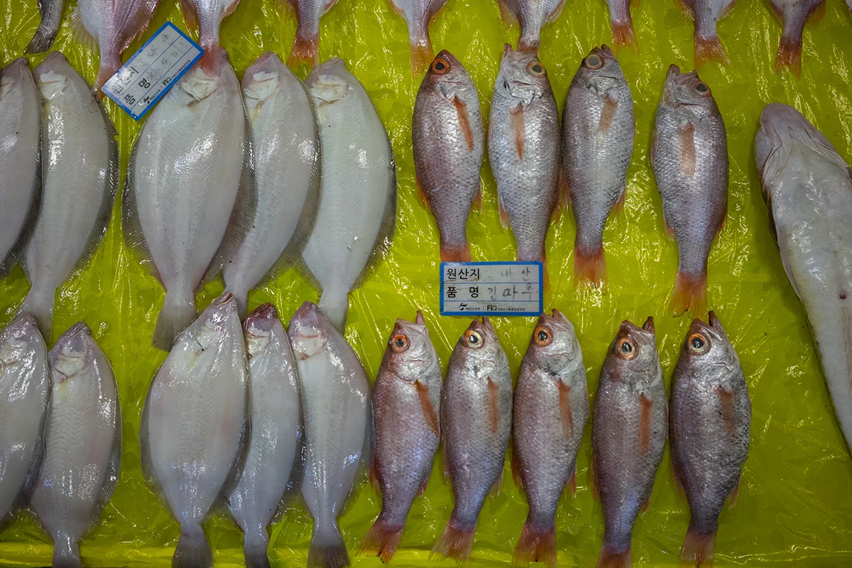 seoul-fish-market-e.jpg