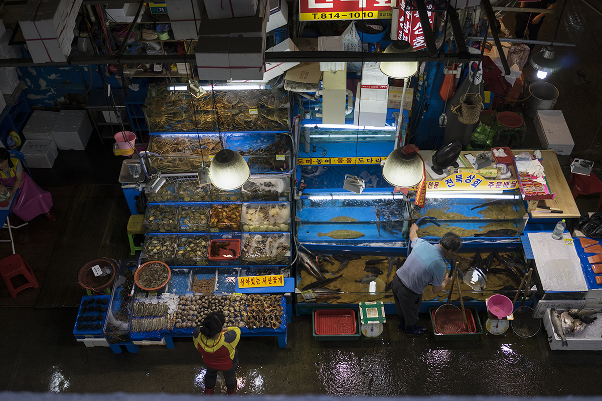 seoul-fish-market-g.jpg