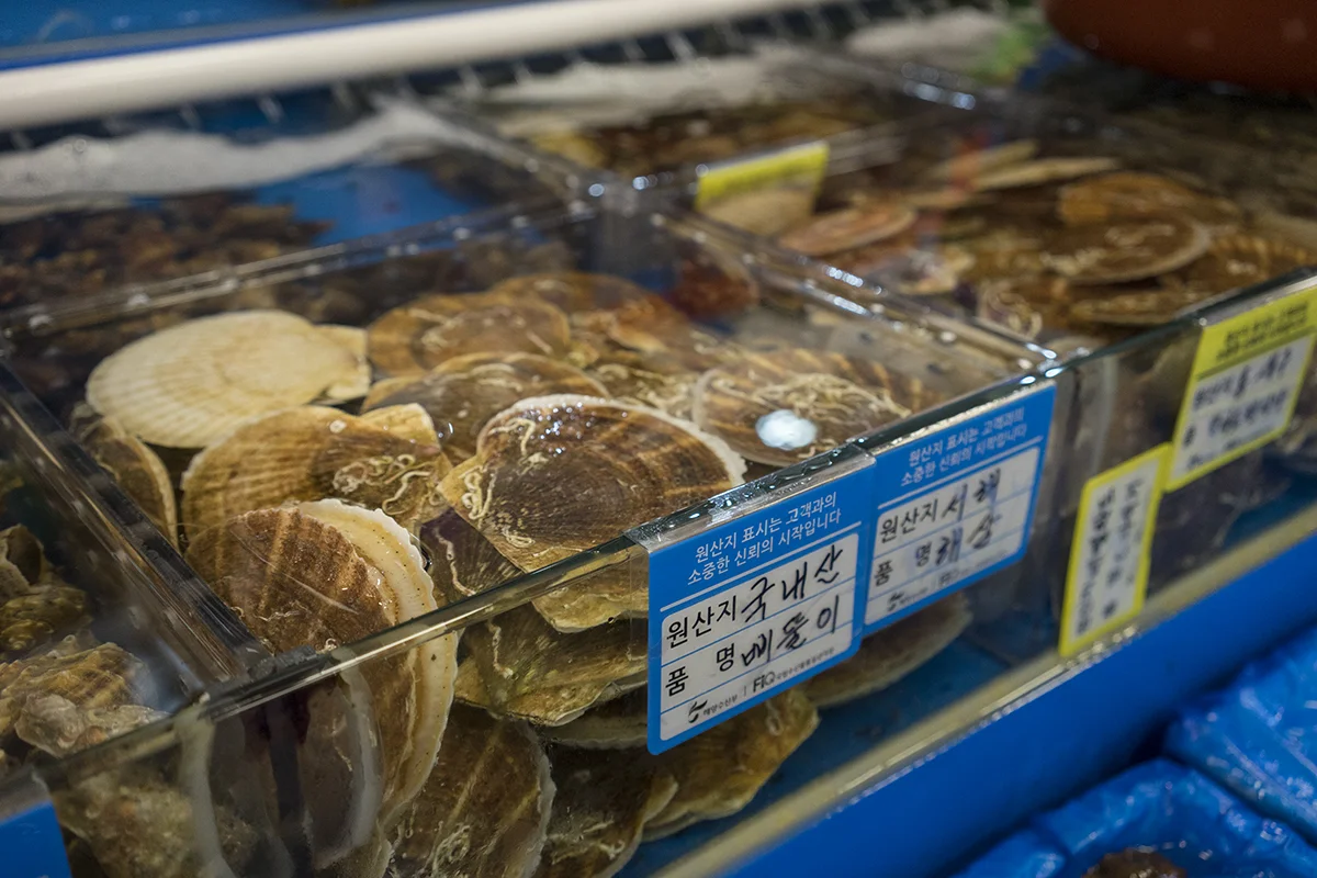 seoul-fish-market-i.jpg