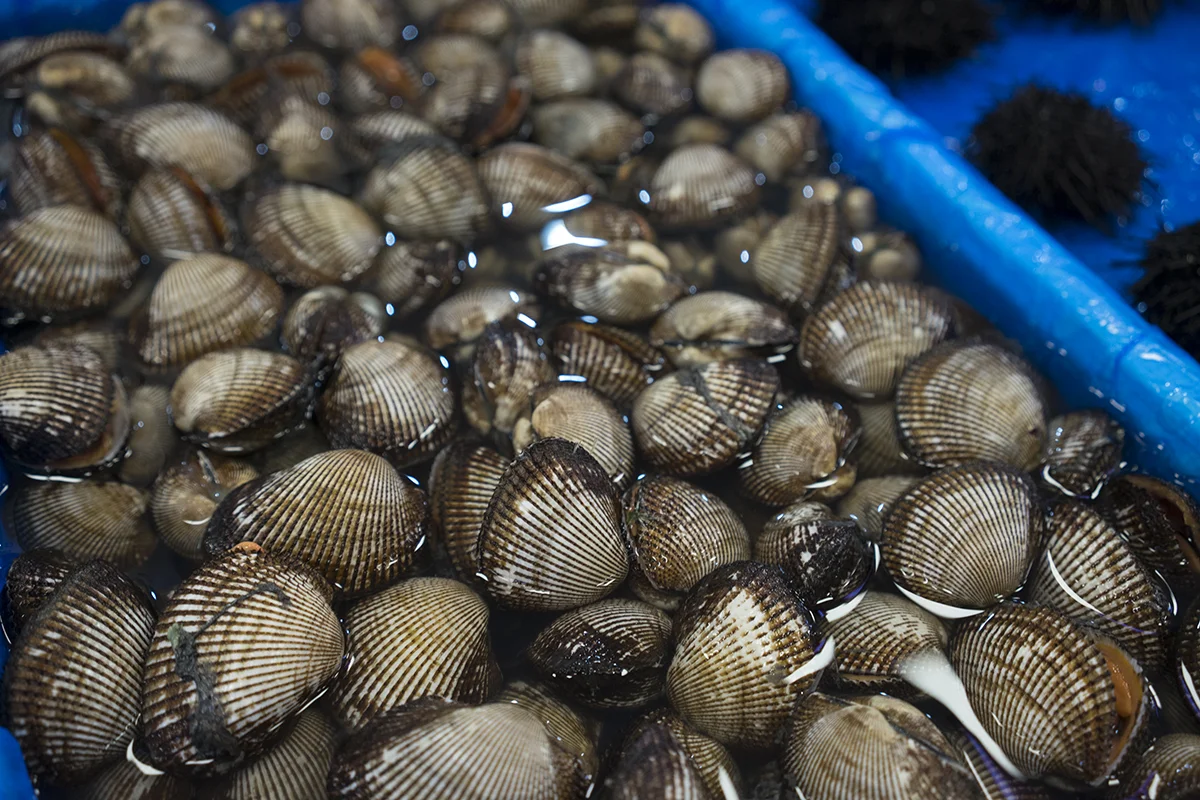 seoul-fish-market-j.jpg