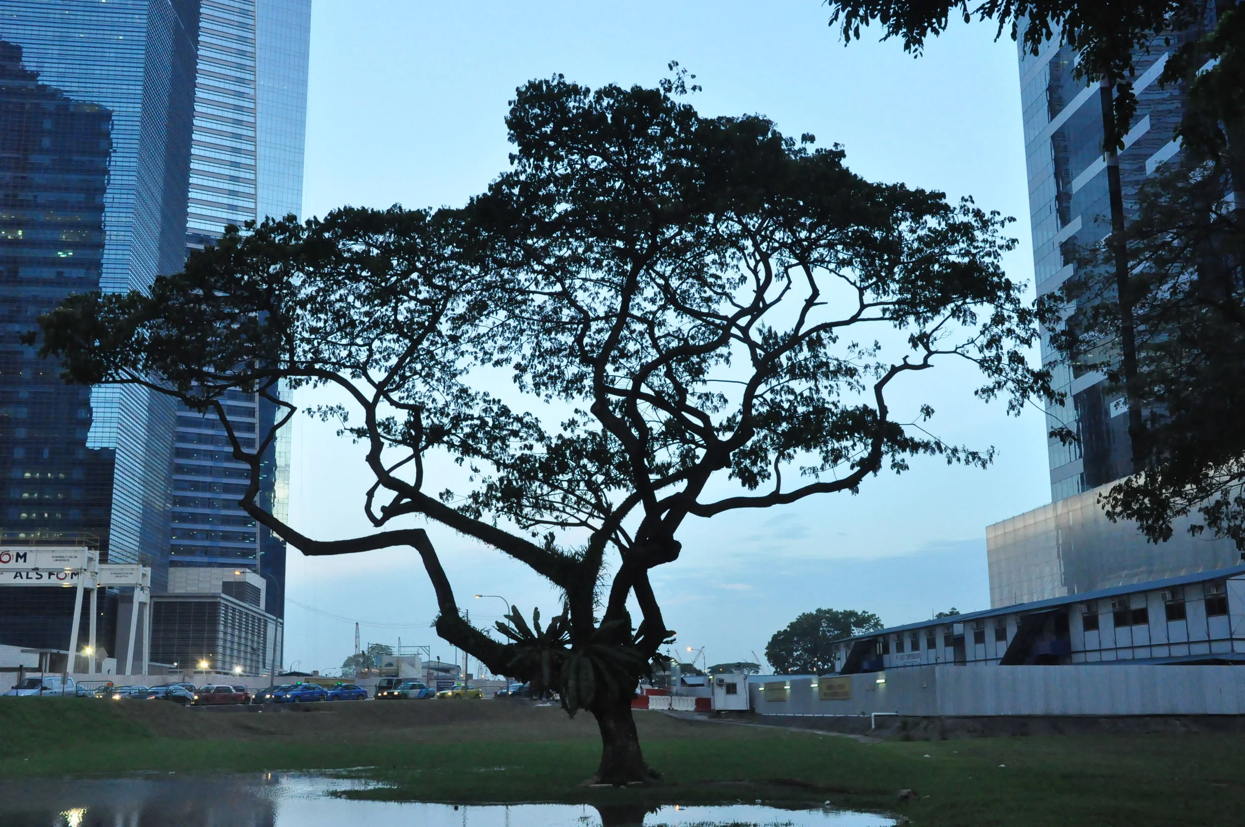 DSC_0290.JPG