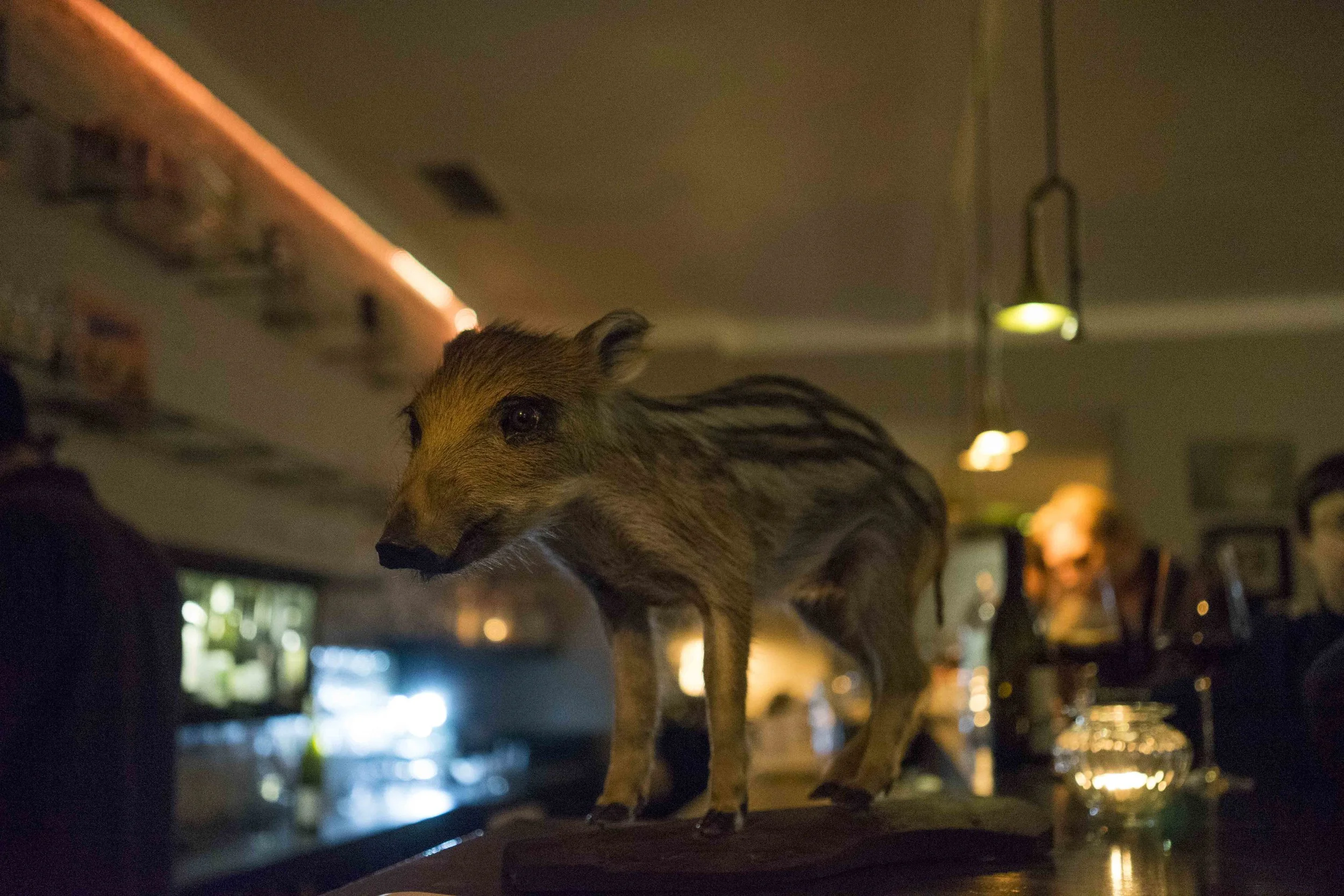 berlin-cordobar-22.jpg