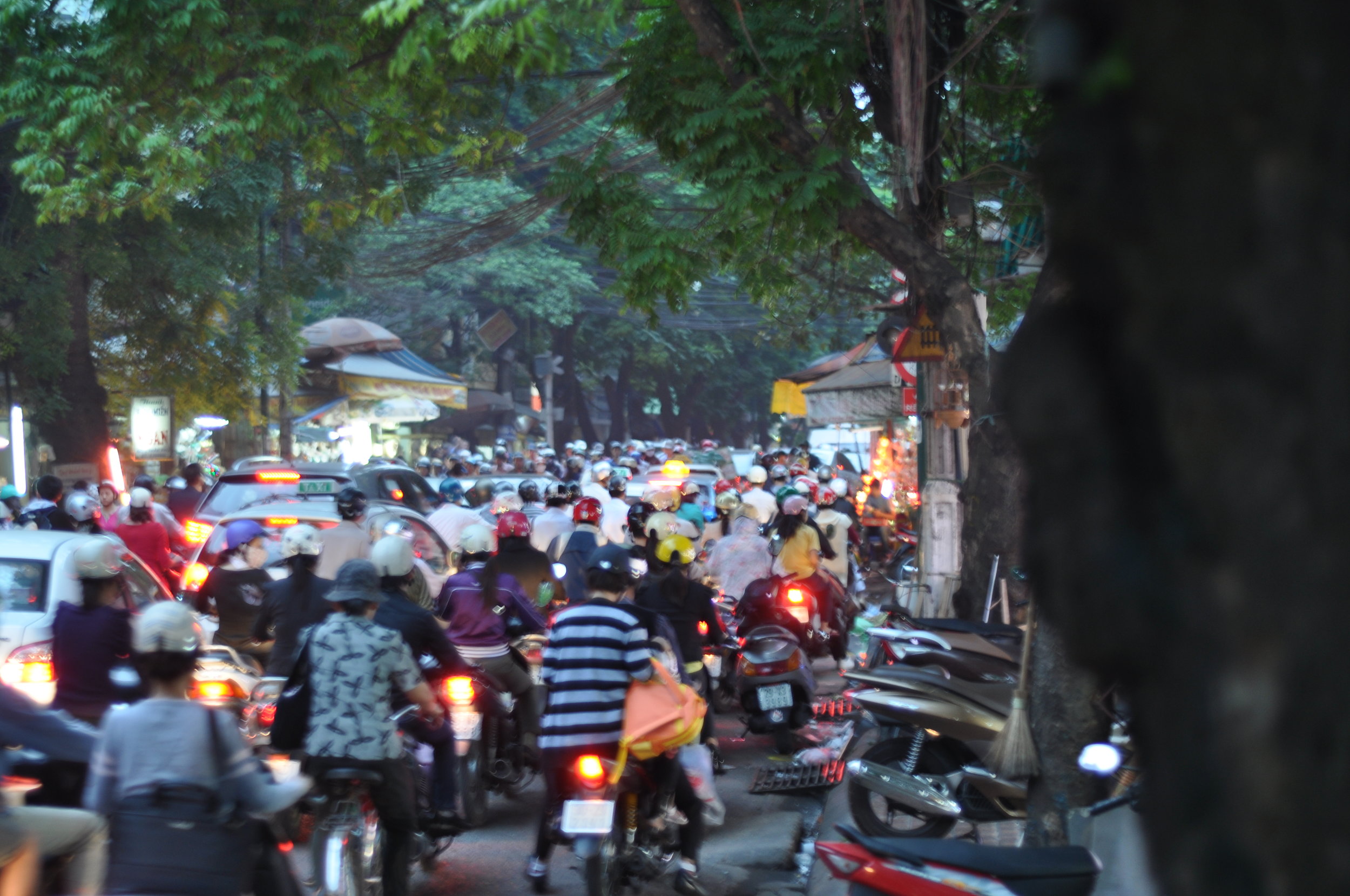 DSC_0040.JPG