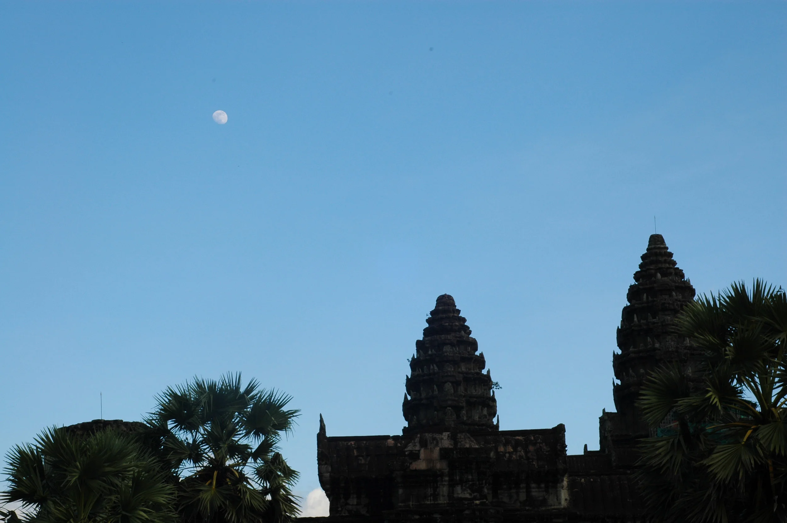 DSC_3406.jpg
