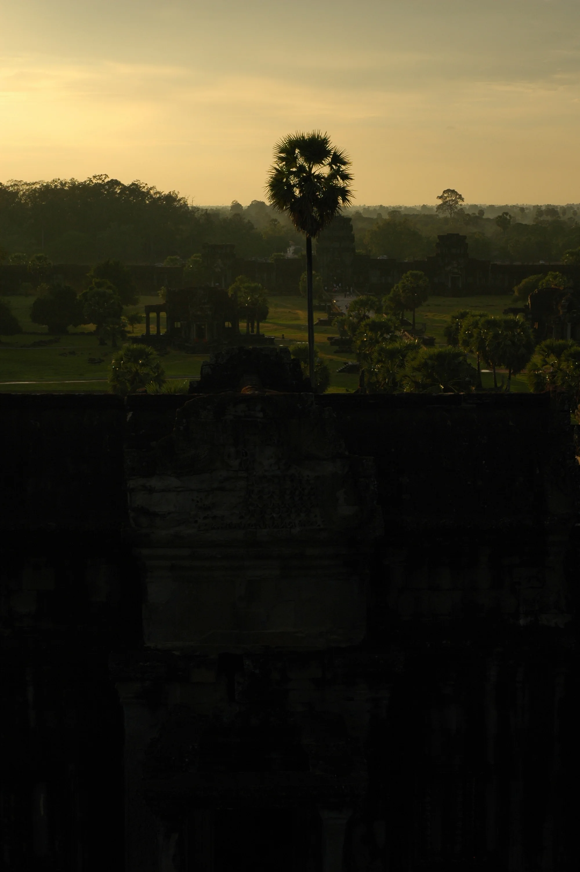 DSC_3434.jpg