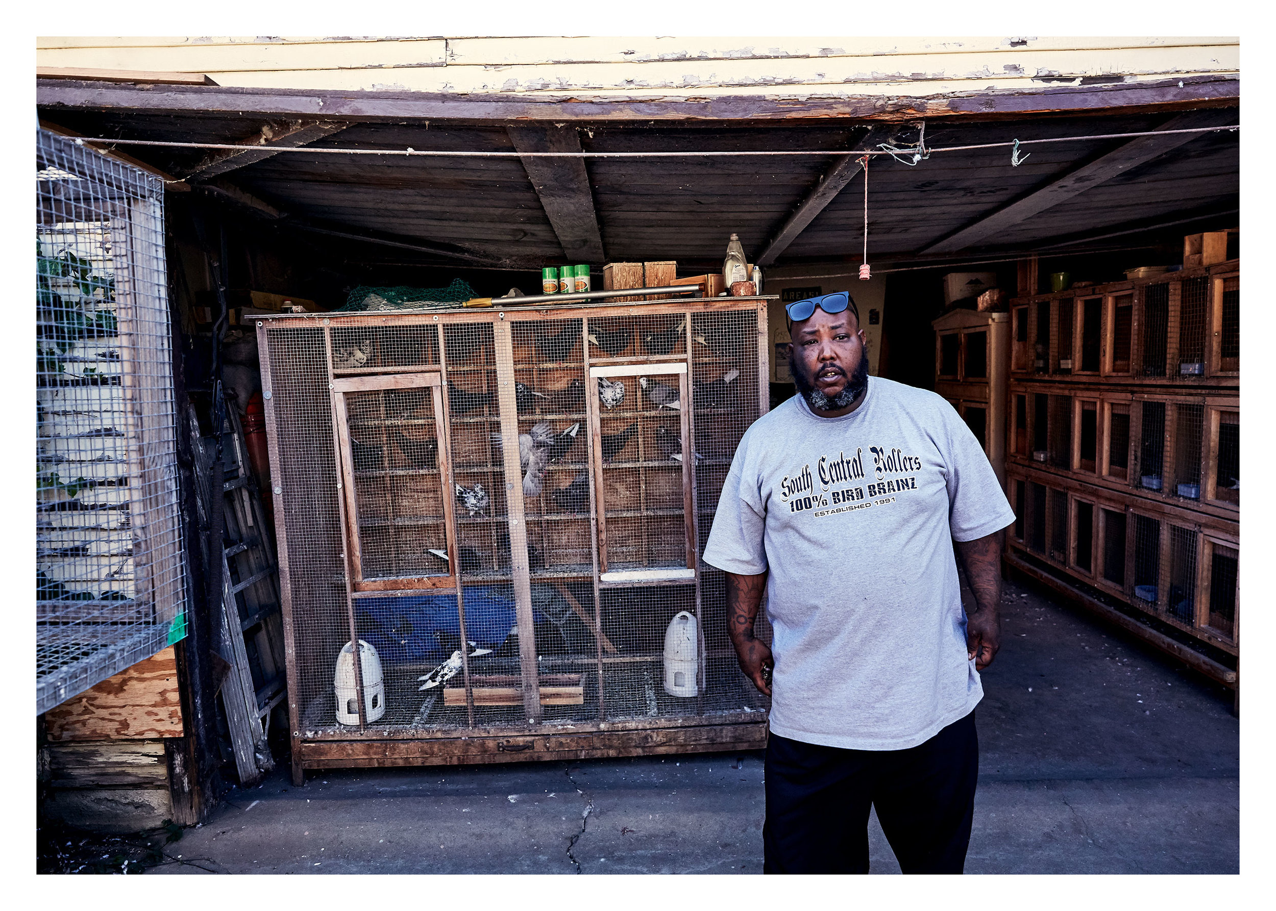 PIGEONKINGS_0699_web.jpg