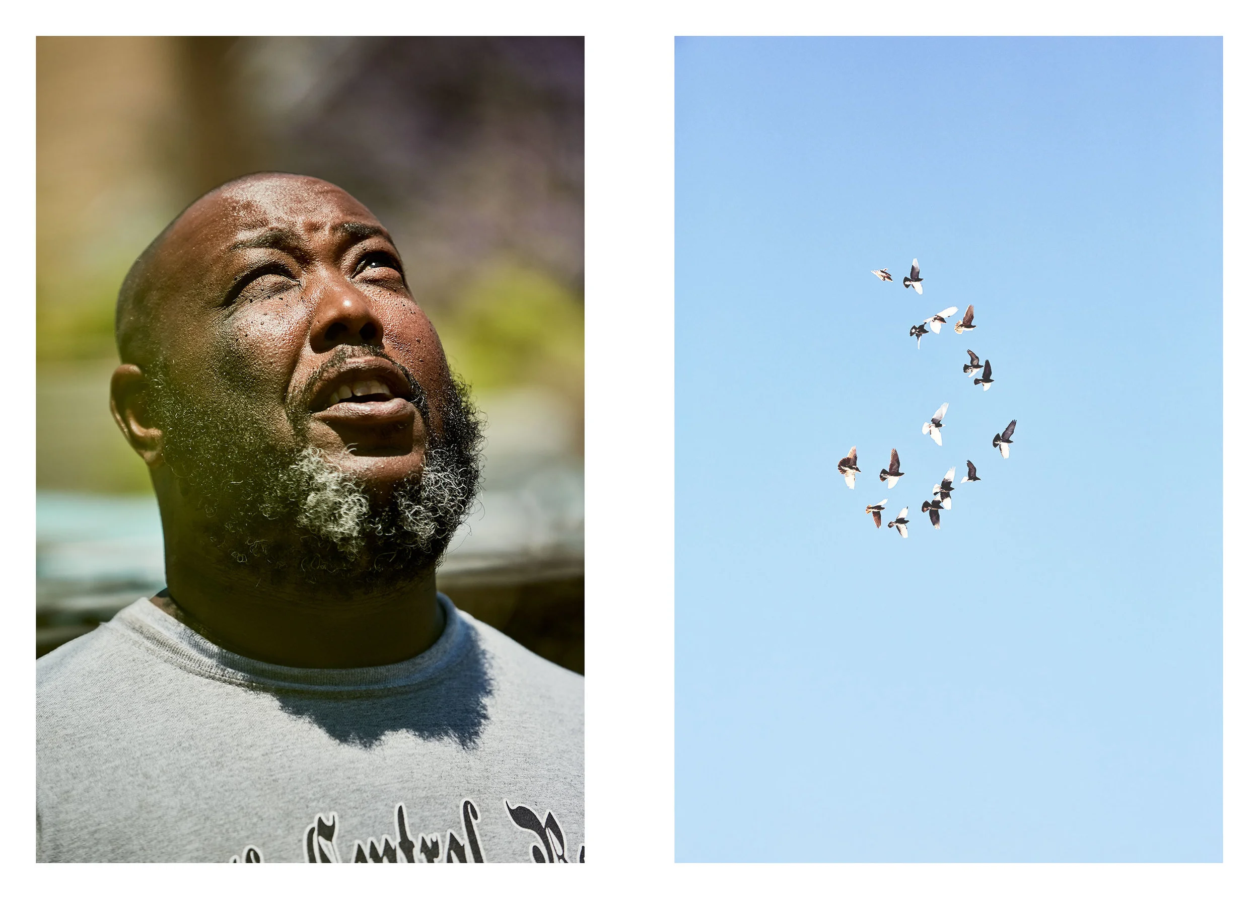 PIGEONKINGS_02021_web.jpg