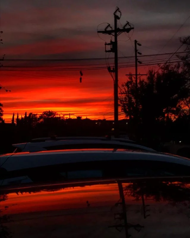 LA Winter 1