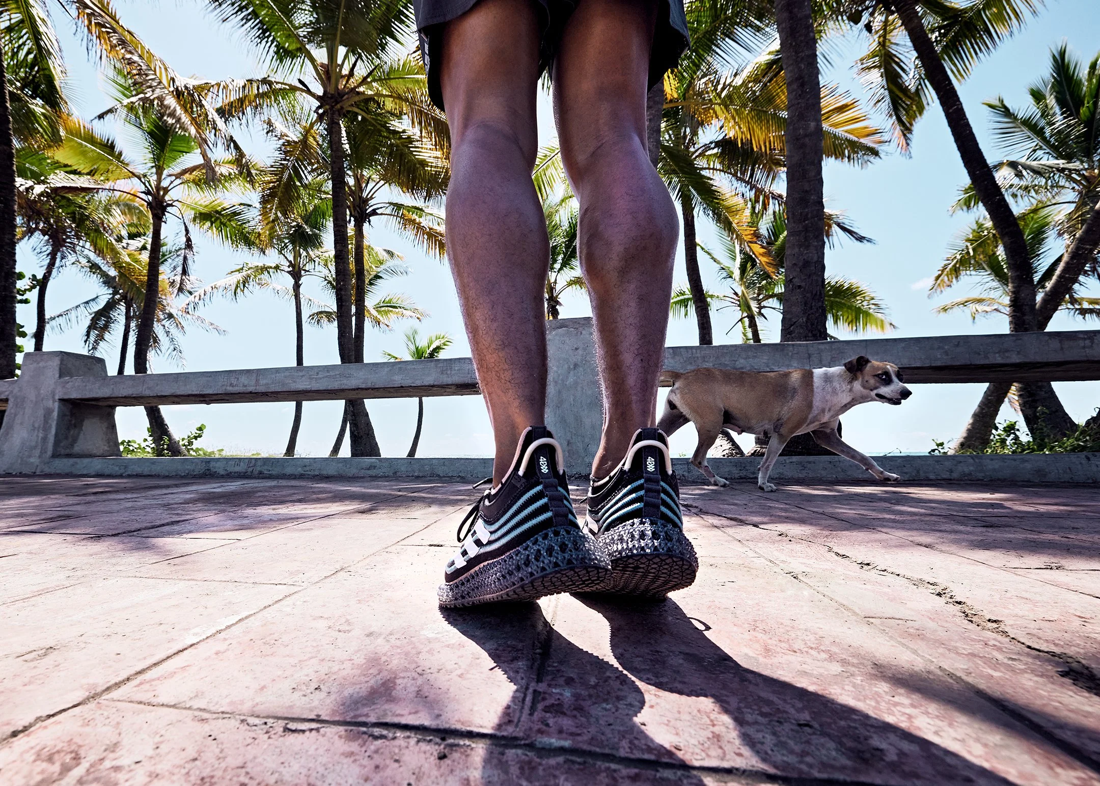 SS22_EthanScott_Shootday1_RunningPalmTrees_DR-04_3168_retouch.jpg