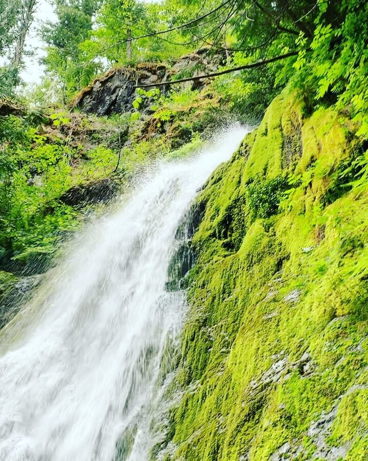 Madison Creek Falls is about 50 feet high. Apparently another higher falls is located above the first, but is completely inaccessible. 💦💧
.
.
.
#madisoncreekfalls #pnwnature #pnwlife #pnwlifestyle #pnwadventures #pnwonderland #beautifulwaterfall #w