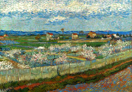 Peach Trees in Flower