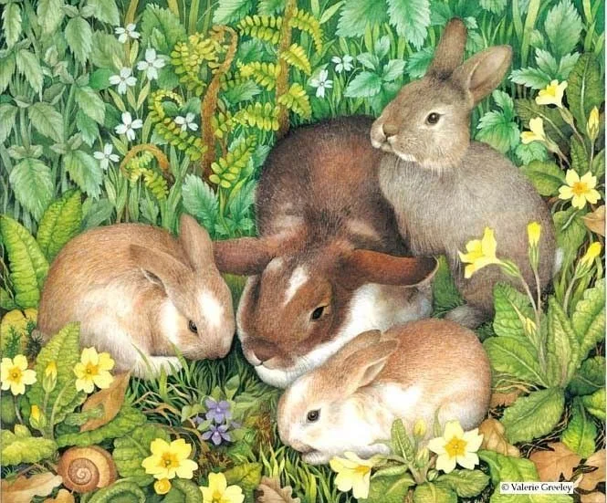 254. Spring Bunnies