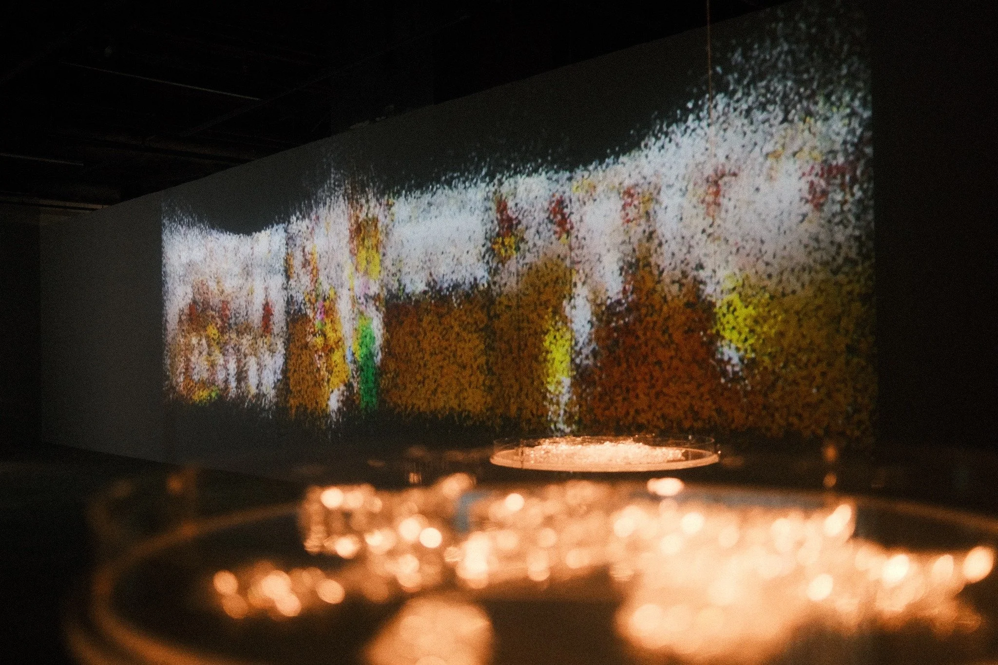 Le Giang azolla exhibition.jpg