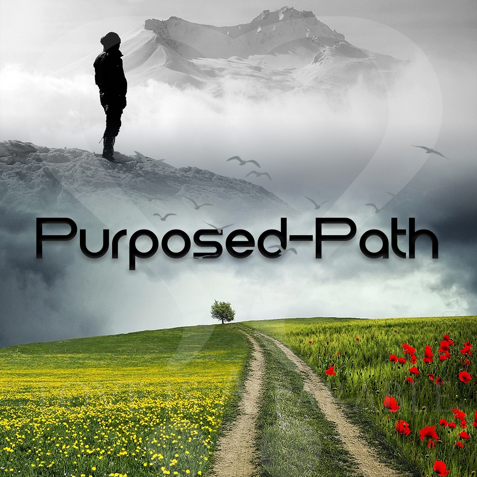 Purposed-Path