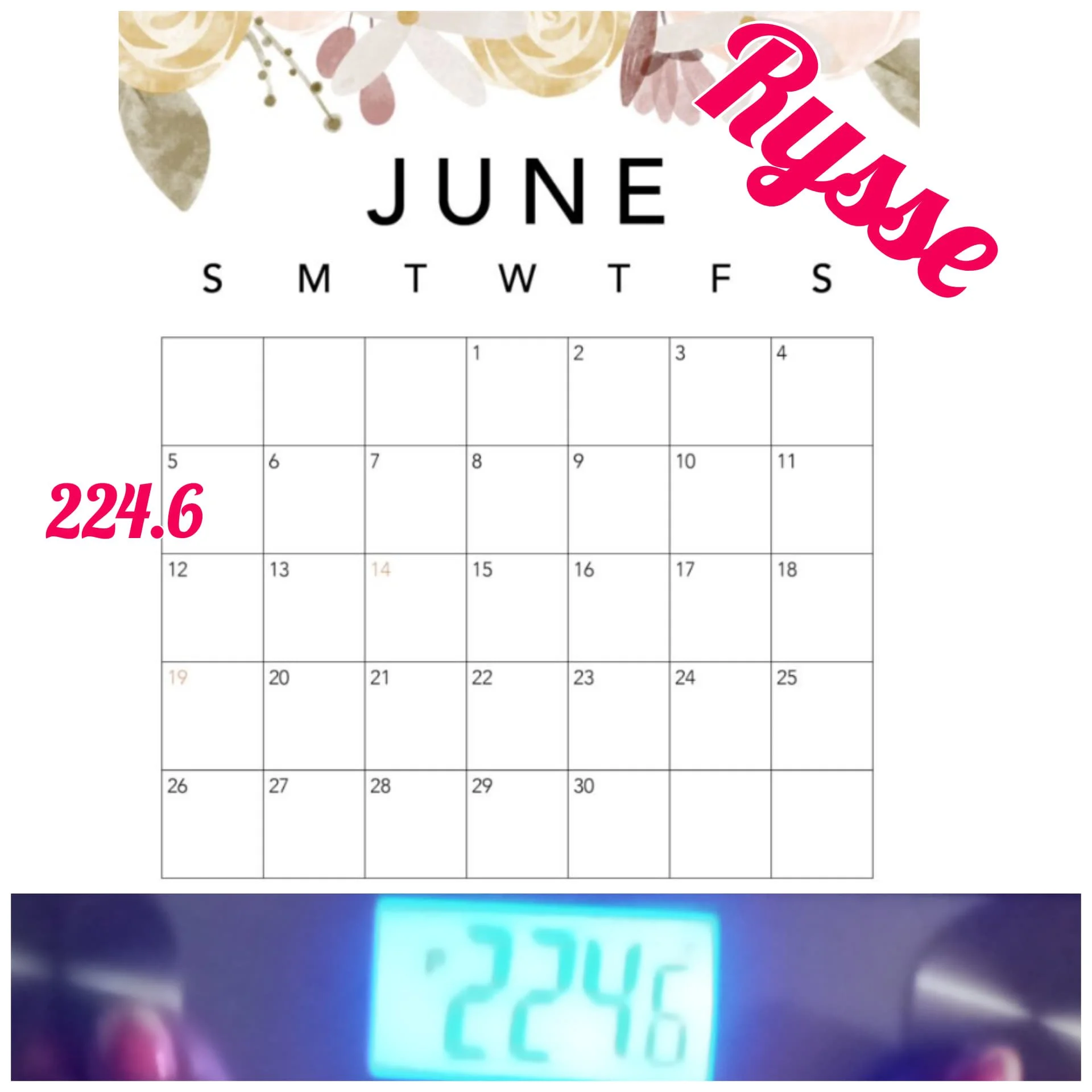  Week 16!  Please Read, a special update from Bre!