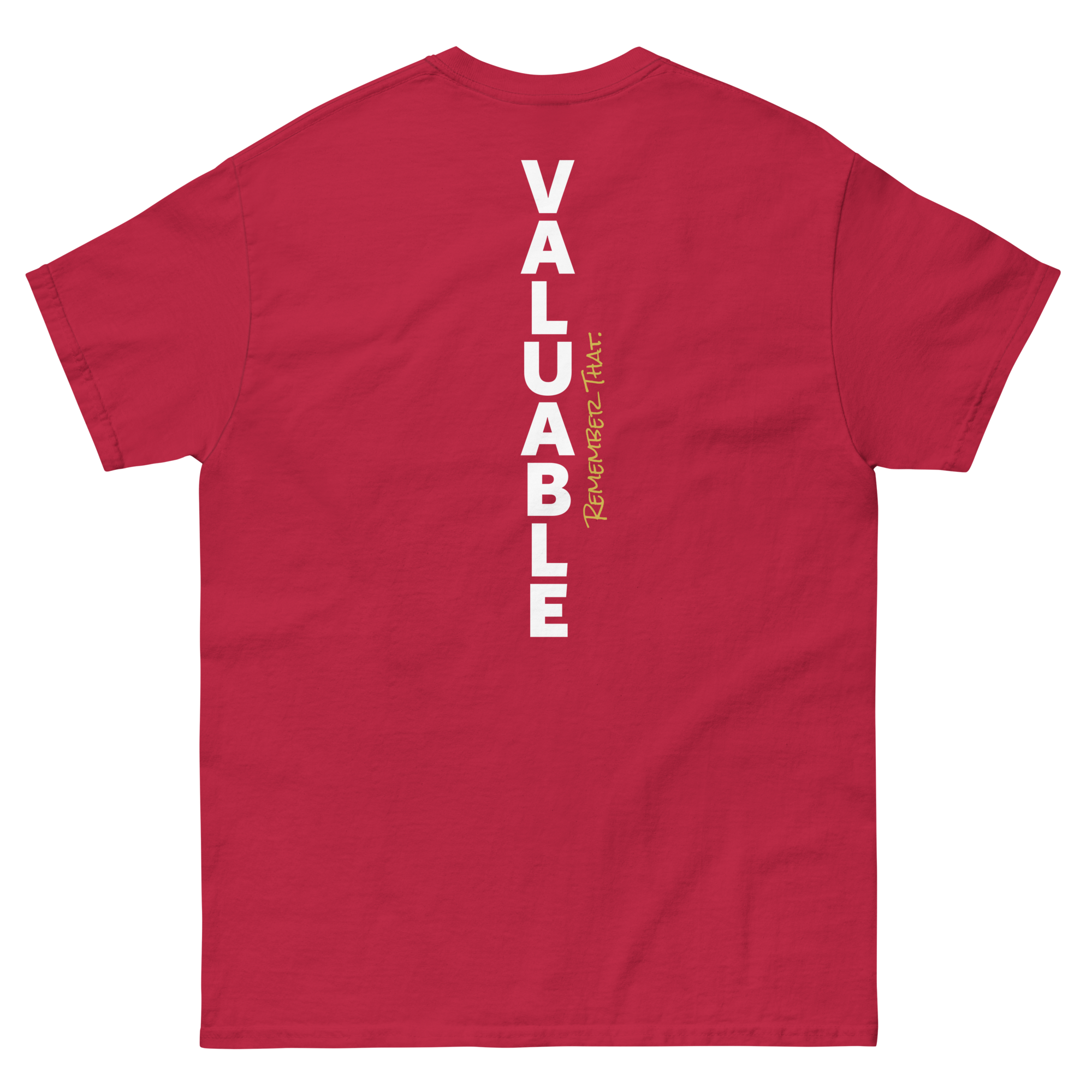 unisex-classic-tee-cardinal-back-6a4701fc5dbcf.png