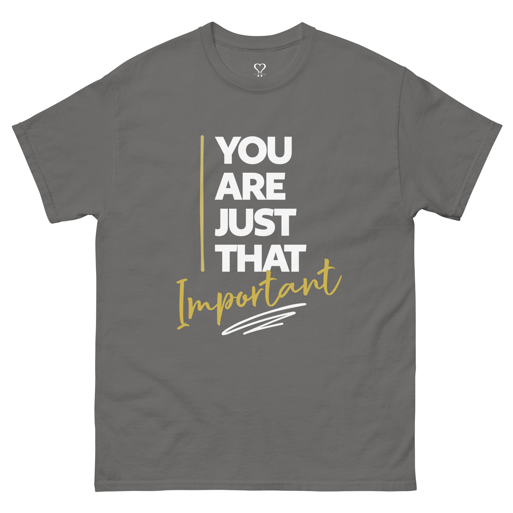 unisex-classic-tee-charcoal-front-6a4701fc60113.png