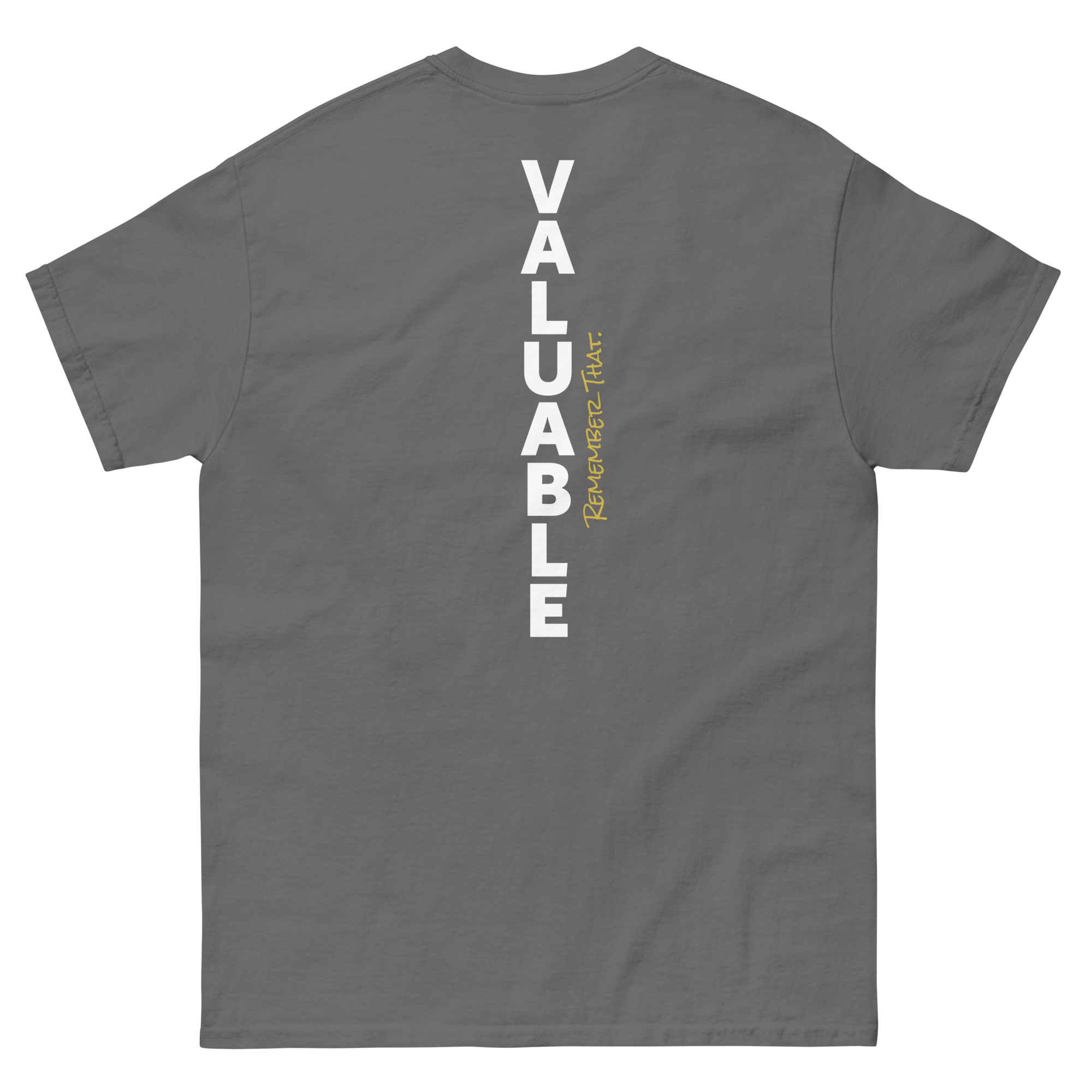unisex-classic-tee-charcoal-back-6a4701fc62116.png