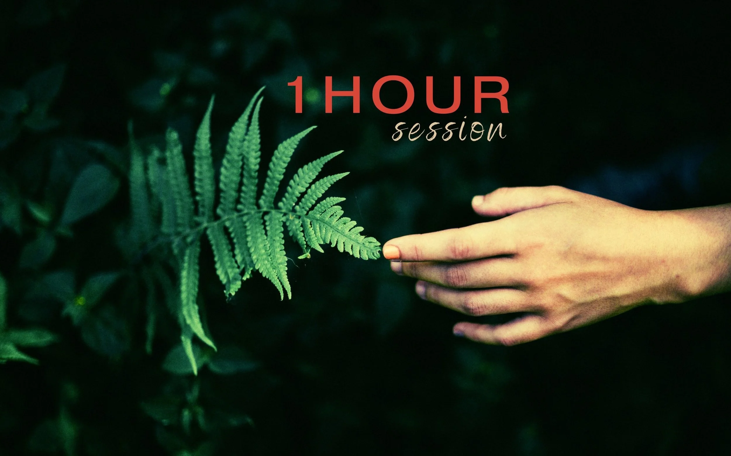 1 hour session.jpg