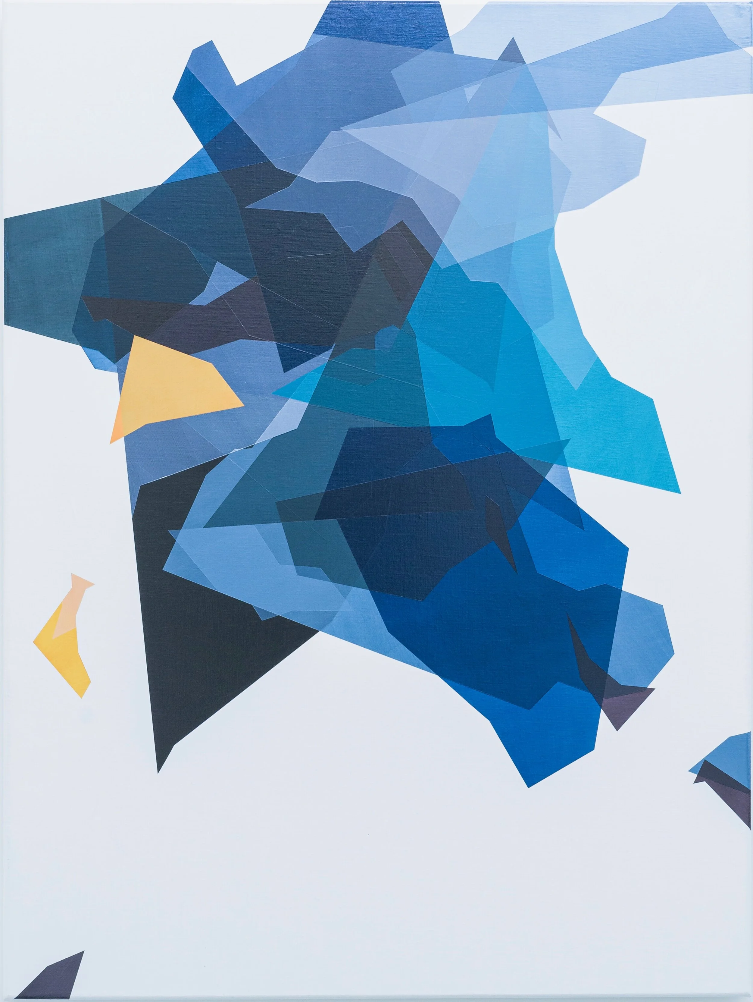 Hunters and Gatherers in the Electronic Data Forest