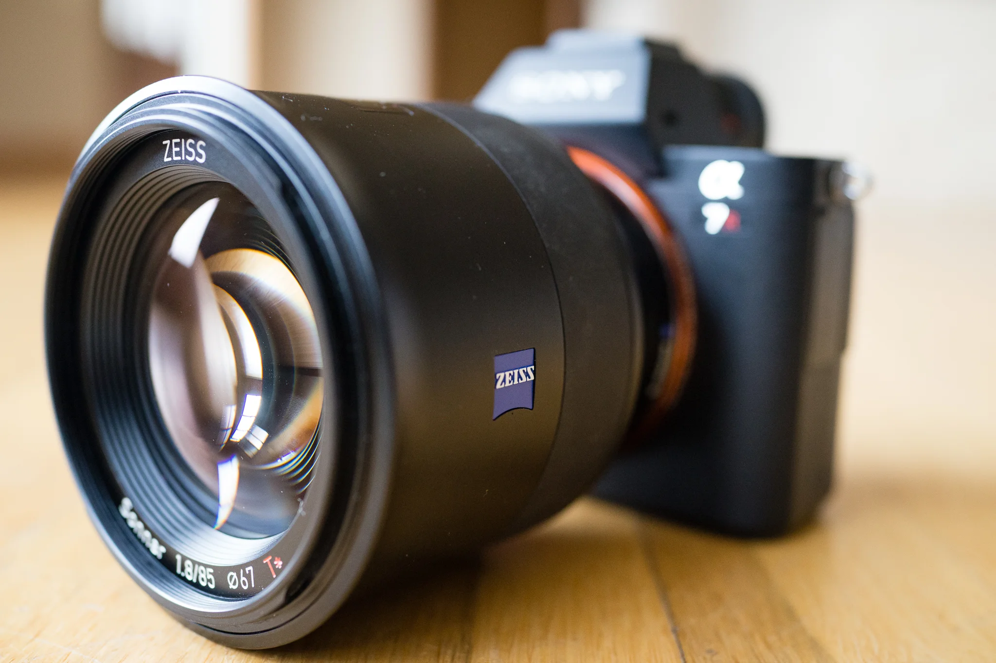 Sony A7RII with the Zeiss Batis 85mm f1.8 taken with the Sony RX1R , 35mm Sonnar f/2, 1/160, sec, f/4, ISO 3200