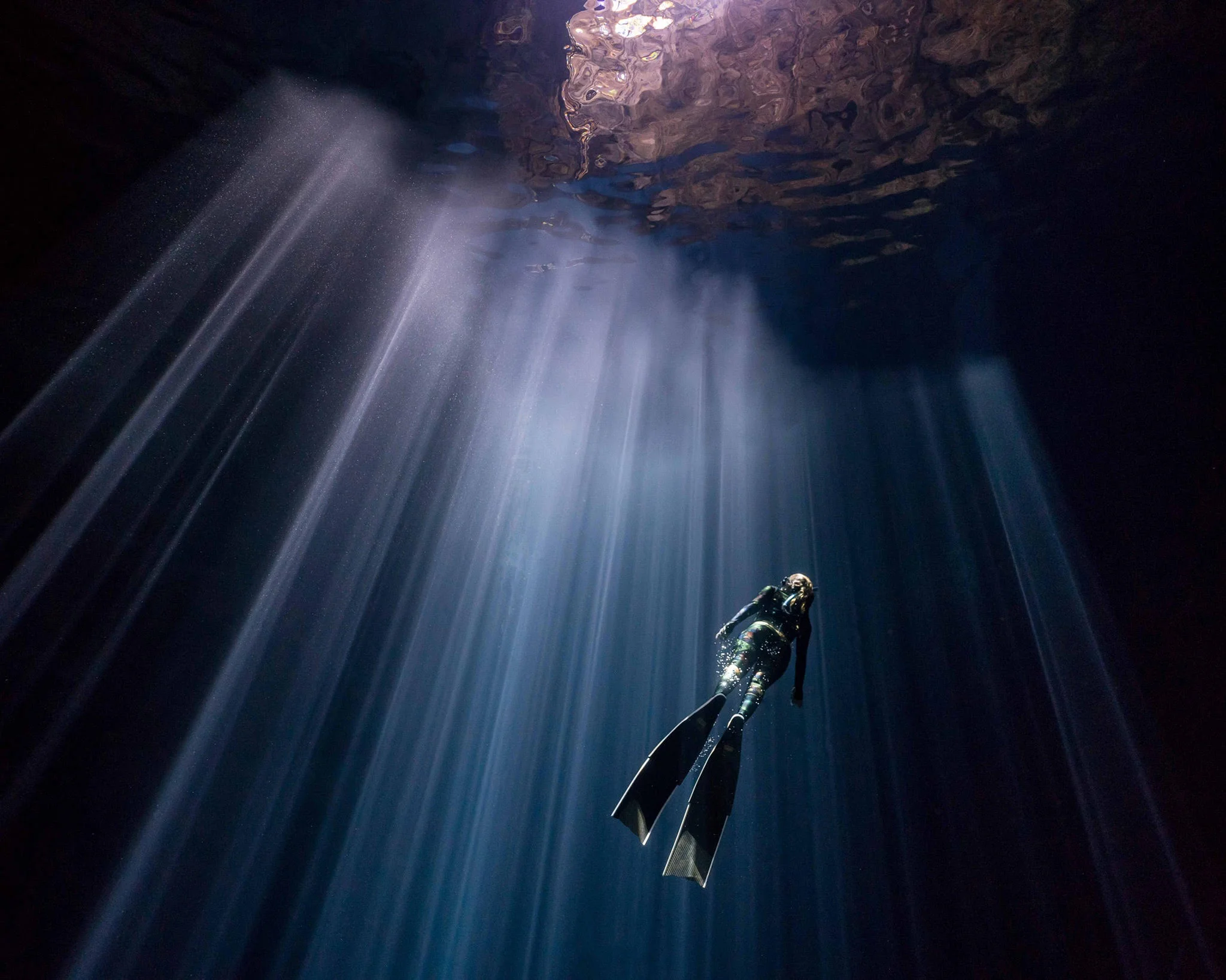 freediving_sharks_underwater_photography.jpeg