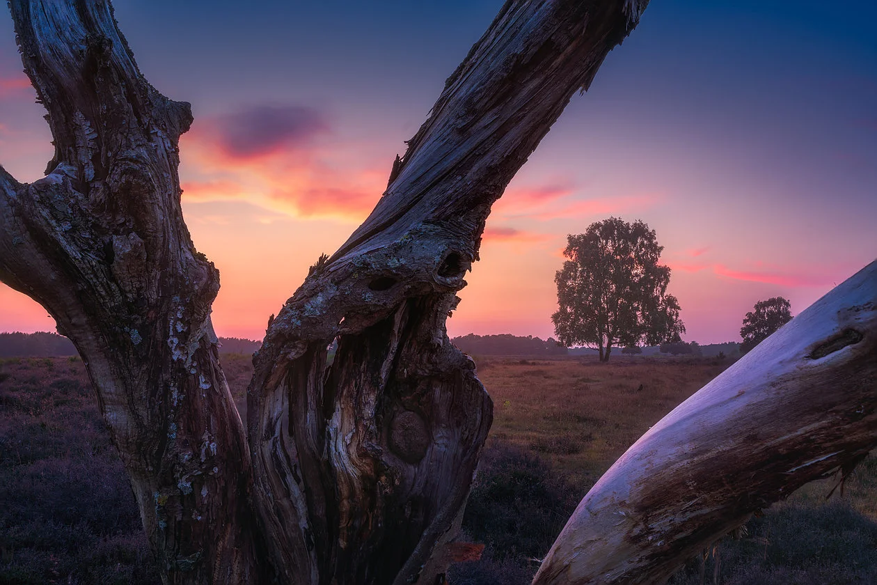 Sony A7RIII, Tamron 28-75 at 28mm, f / 9, 4s, ISO 200. Multiple shots focus stacked to get everything in focus.