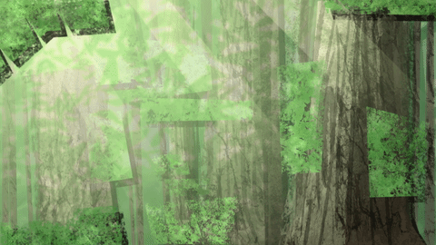 Forest Gif.gif