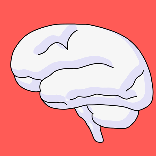 Big-Brain-Rotation.gif