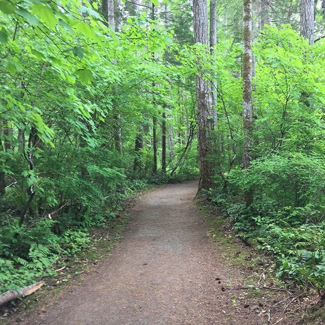 A peaceful walk in the woods was just what I needed yesterday, thanks @feathermcneill and @bjorn1210 for inviting me and making sure I didn&rsquo;t get lost along the way. 
#WhereAreWe #LostAndConfused #WasTheRiverGoingThatWayBefore #WeCrossedTheRive