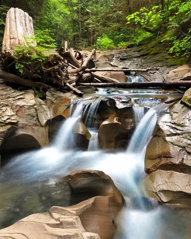 The river knows there is no hurry. Some things simply take time. 
#TakeYourTime  #BeKindToYourself #breathe #nature #WestCoastBestCoast #NatureCuresAll #pnw #LoveWhereYouLive