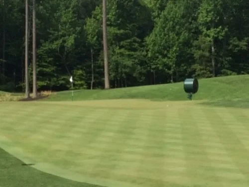 The ball was hit onto the green with a driver off the deck from 245 yards away.