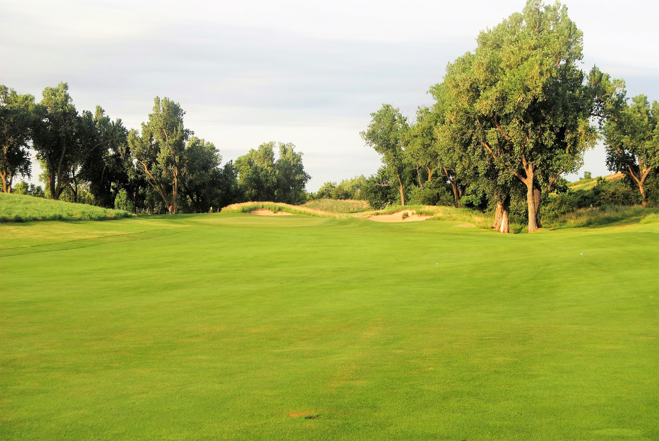 If you look very closely at the upper right hand corner of the picture, you might be able to see my ball and Dave's ball after our 1st hole tee shots.