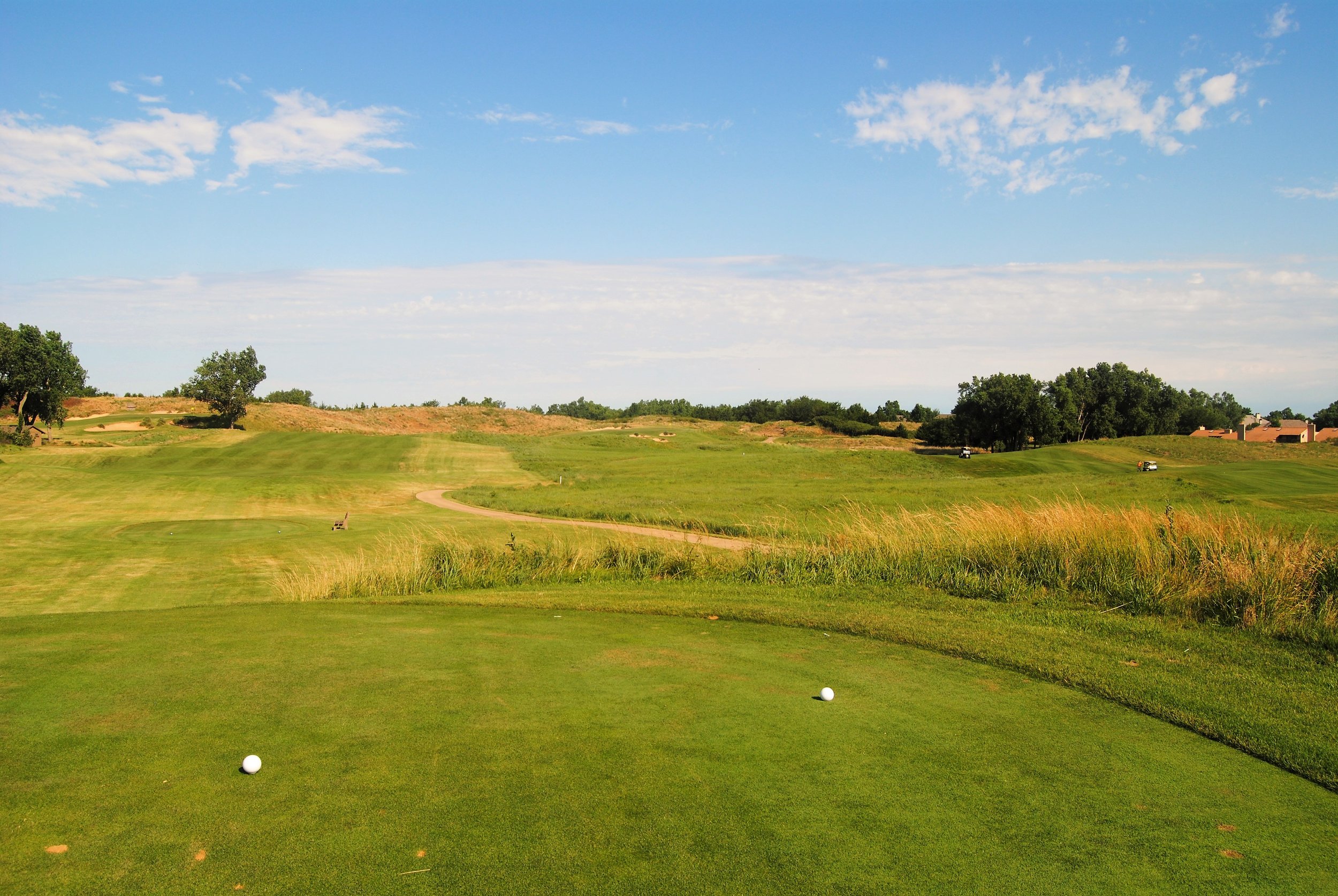 8th hole fairway. The green is to the right. In order to have a clear and straight shot to the green, a drive has to get to the second tree on the left, which is about 275 yards out from the white tees.