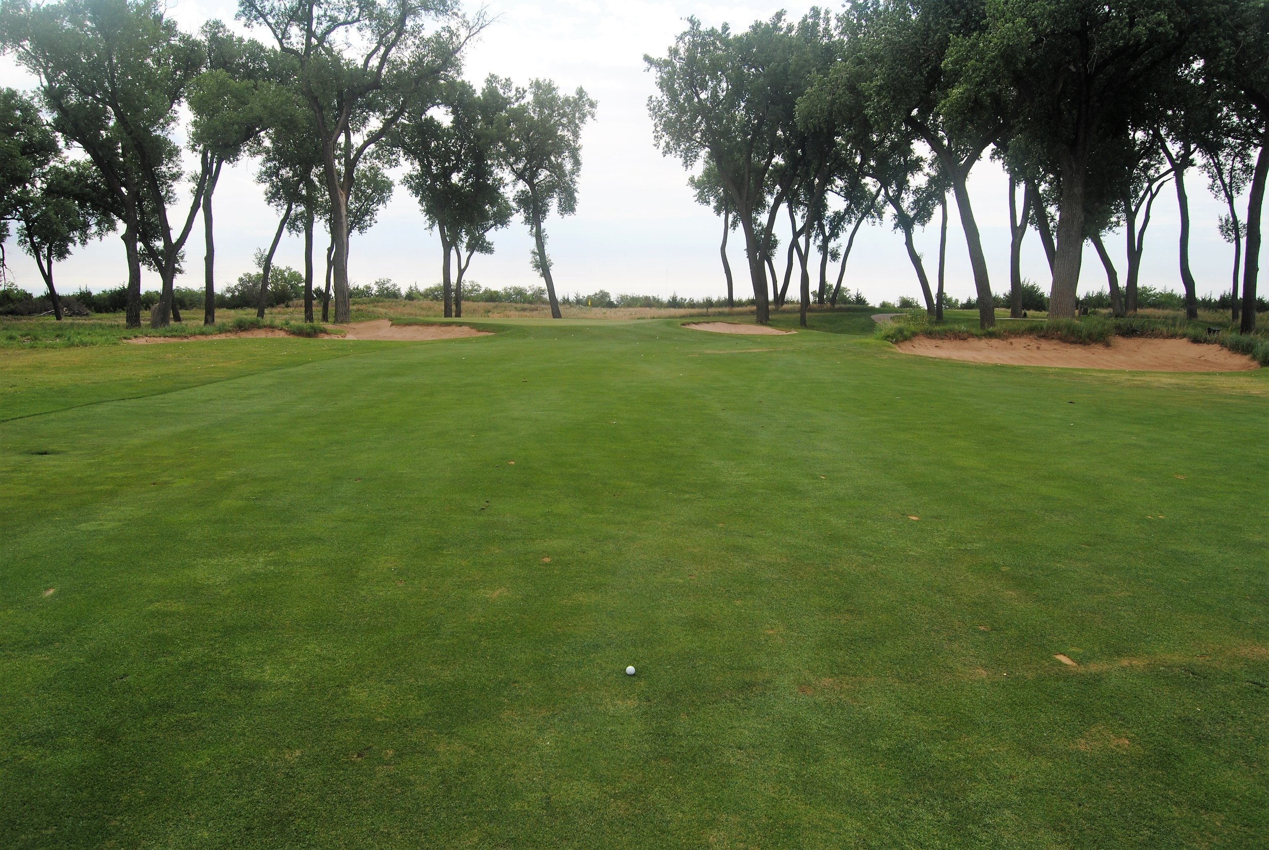 I hit my tee shot on the 14th hole over the gunch into the middle of the fairway