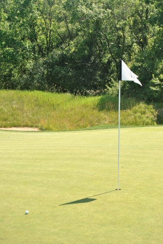 My approach shot on the first hole stopped 8 feet right of the pin. I missed the birdie putt