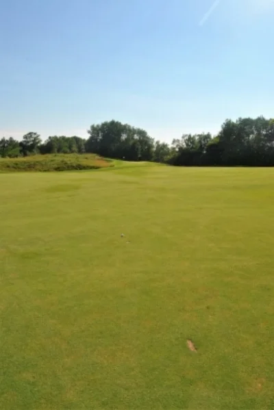 Eureka! Finally, a drive that found the fairway