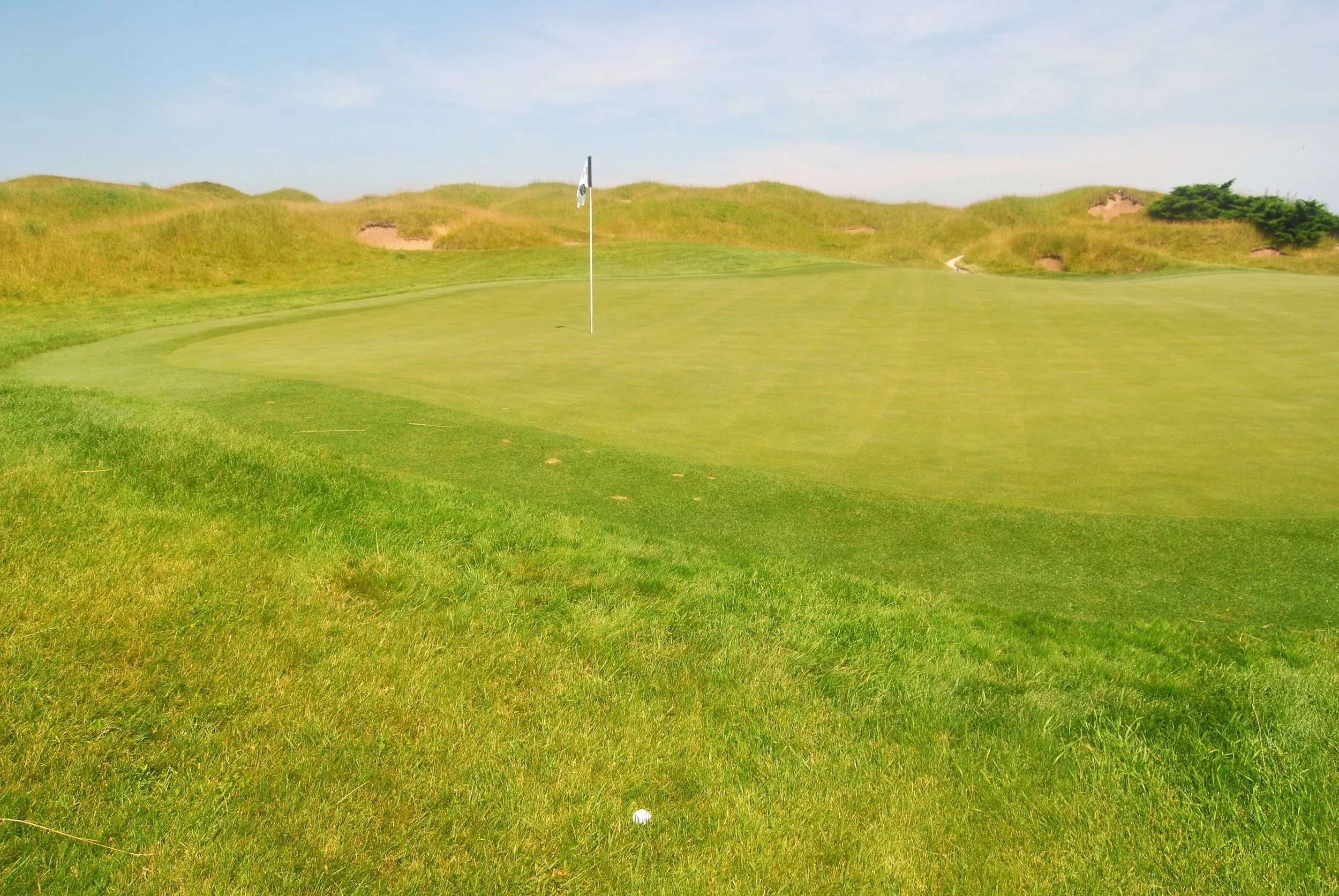 The 12th green, my ball is in the rough just short of the green.